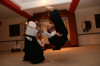 O evento visa elevar o nível técnico dos aikidocas de MS