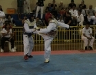 Copa Taekwondo/ MS - Instituto Mirim - Parte 1