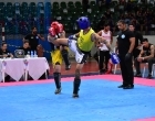 Campeonato Estadual de Kickboxing - Ginásio Avelino dos Reis (Guanandizão) - 2