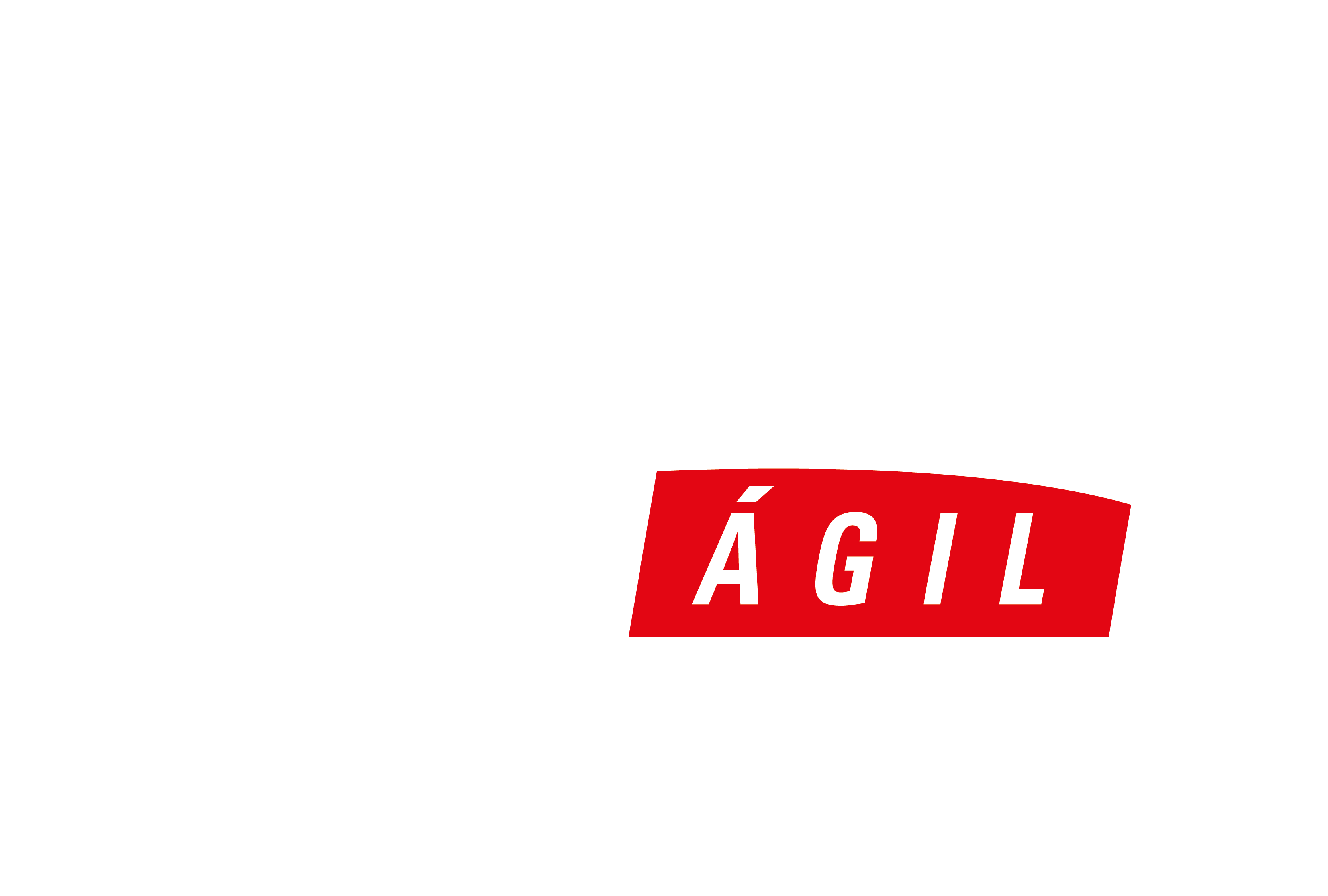 IMG-LOGO