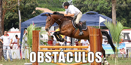 Equipe de salto do CMO disputa o Campeonato do Exército 2012