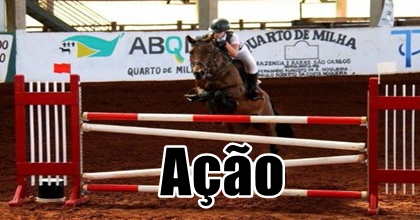 Concurso de Saltos movimentou Parque do Peão no último domingo