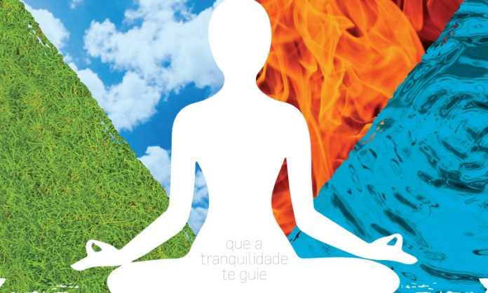 Próximo aulão do Camillo Boni tem como tema “Zen 4 elementos”