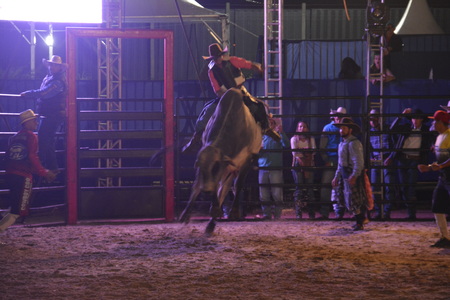 Bataguassu terá provas de Rodeio durante Expobata 2019