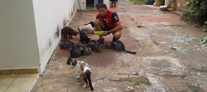 Esportista da Capital inicia projeto de ajuda à cães e gatos