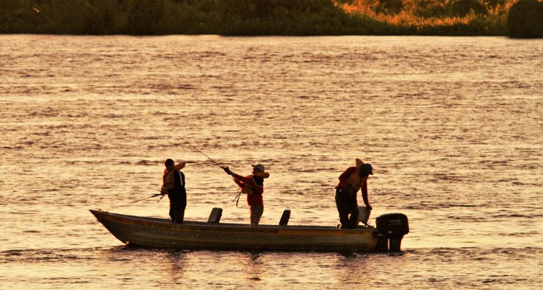 MS disponibiliza carteira digital para pesca amadora e desportiva