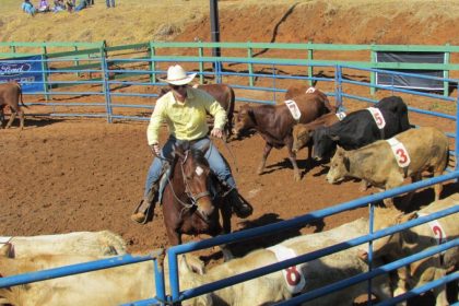3ª Etapa do Campeonato de Ranch Sorting agita TL nesta sexta e sábado