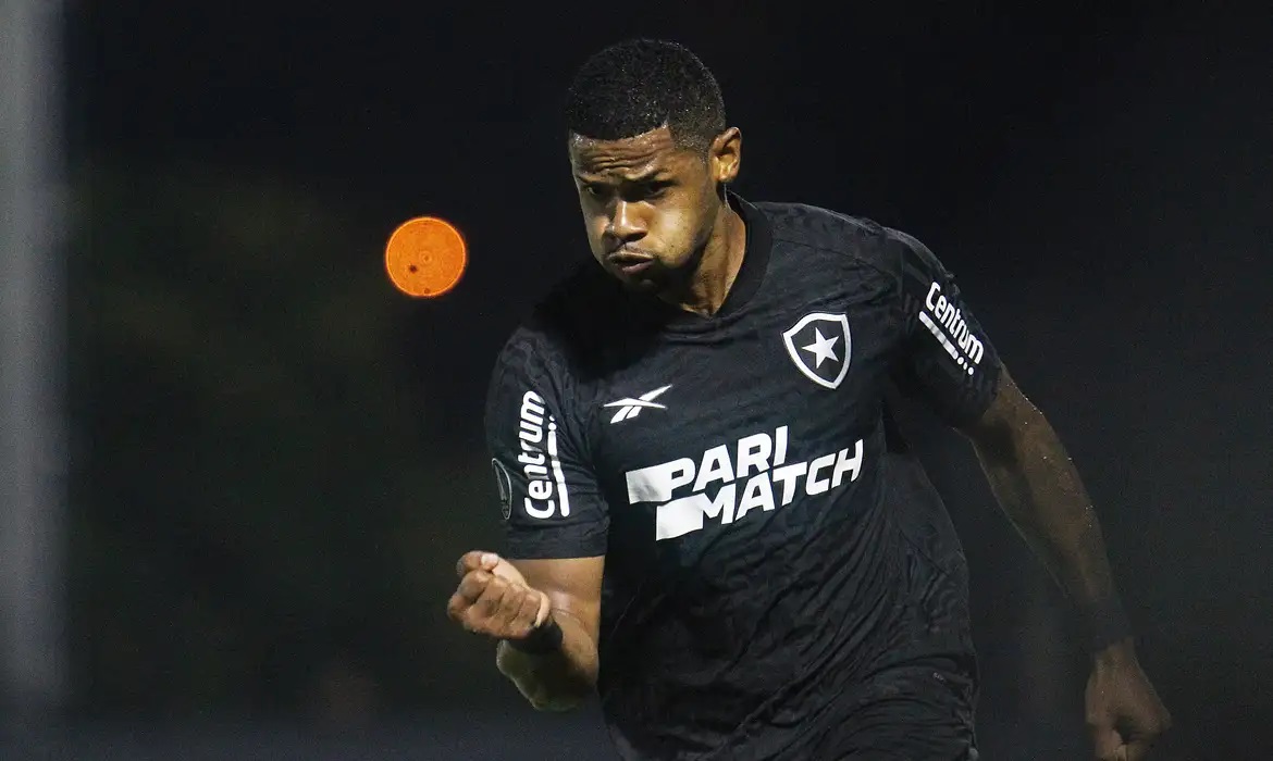 Botafogo garante presença na fase de grupos da Copa Libertadores