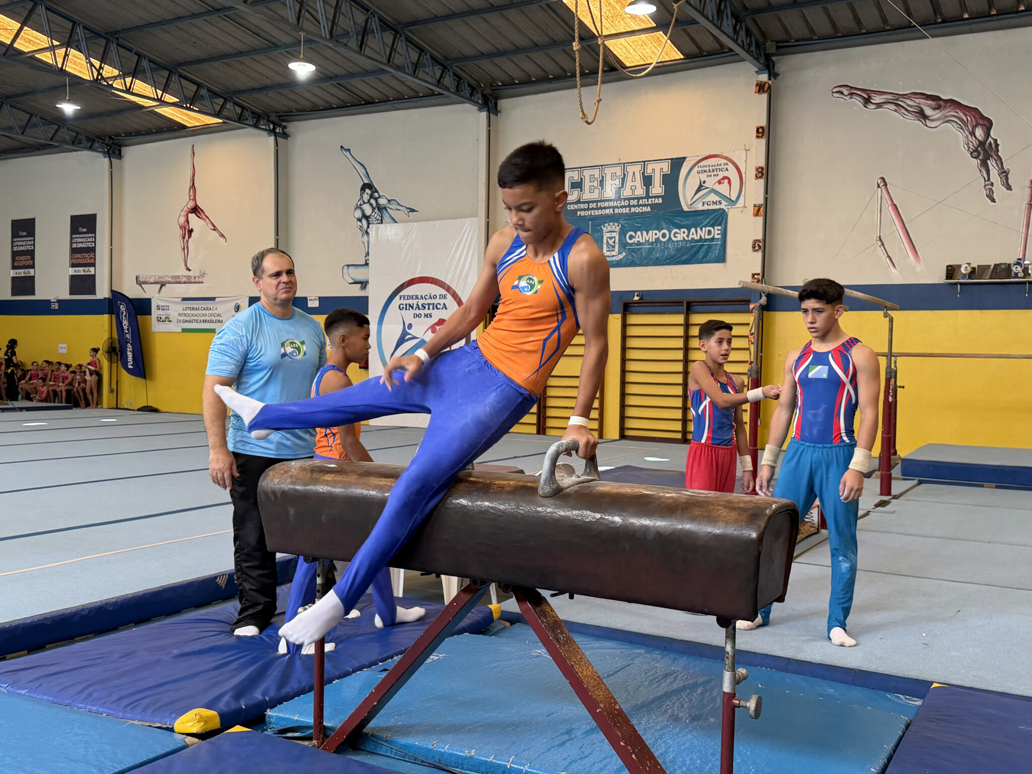 Ginástica artística desperta vocações en...