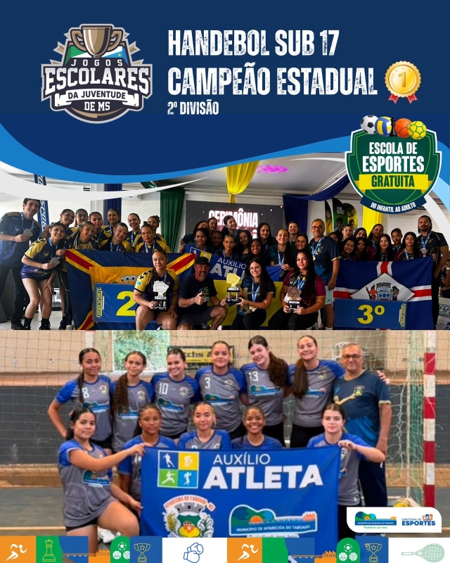 Handebol Sub-17 de Aparecida do Taboado...