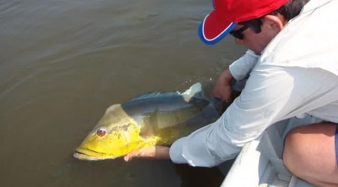 Festival Internacional de Pesca fortalece turismo de Corumbá