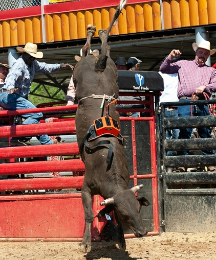 Campeonato com 'robô cowboy' será uma das atrações do CLC no fim de semana