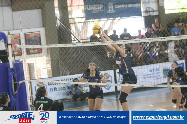 Imagem 7