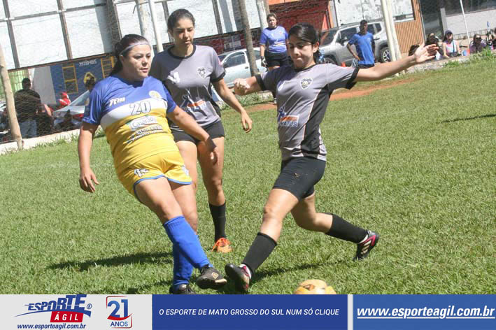 Imagem 12