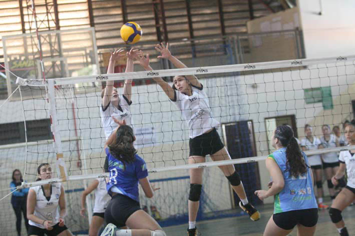 Imagem 5