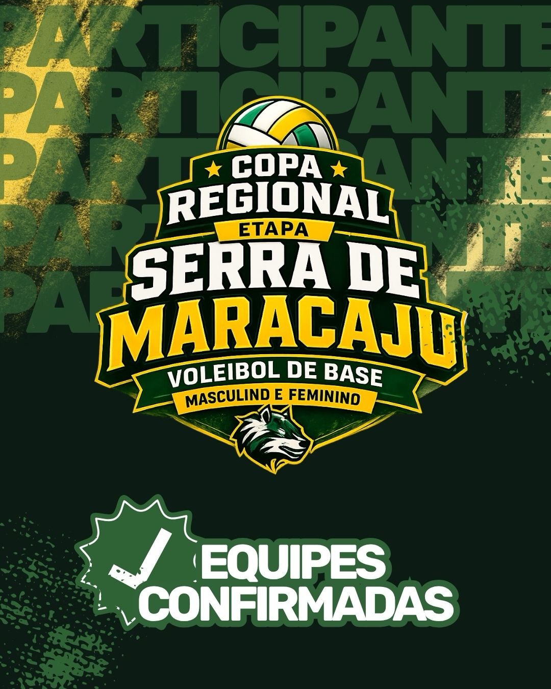Copa Regional reúne projetos de voleibol de base em Maracaju